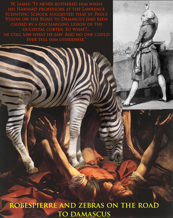 Robespierre and Zebras